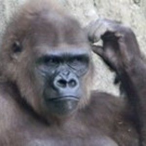 Meet your Posher, Phil